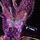 별빛랜드 이미지