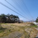 보령시부동산중개사무소 이미지