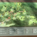 UR(구리시)-[동구릉로]-상-5 | 왕들의 숲, 구리 동구릉을 돌아보다.