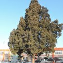 석보초등학교 이미지