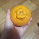 올레시장특산품판매장