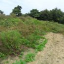 영창파크타운아파트 이미지