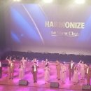 하모나이즈 | 하모나이즈 공연후기