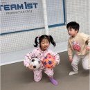 라이프 태권도장 이미지