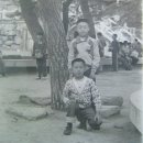 산호동283 이미지