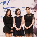 보라 이미지
