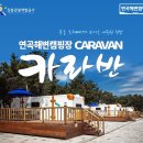 솔향기캠핑장 이미지