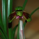 자산동011 이미지