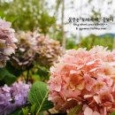 이디야춘천소양강점 이미지