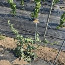 재욱농장 이미지