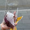 공미학(GONGMIHAK) 이미지