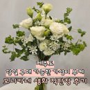제주대학교병원 | 제주 꽃집 가성비 부케 모니카네생화직판장 내돈내산 후기 추천 당일 구매