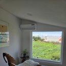 선운.림 이미지