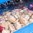 해물명가 이미지