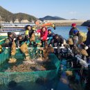 (주)남해수산 이미지