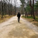 김포현령군수선정비 | 김포 장릉 /추존 원종과 인헌왕후의 구씨의 능