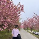 KTN쇼핑 | 타임옴므 아일렛 반팔 (박태환 니트) | th2c3ktn028m | 내돈내산