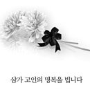김로사쌤 부군께서 별세하셨습니다 이미지