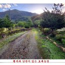 가을농장 이미지