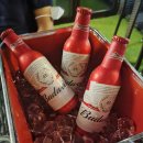 호텔베이204 이미지