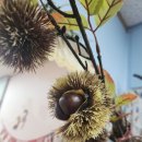 기린초교병설유치원 이미지