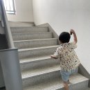 7,8월 지구살림ing 권수호 이미지
