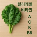 슈퍼푸드