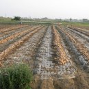 수양마을경로당 이미지