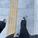 더사잰 | ENFP의 일상