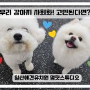 멍 핏 스튜디오 이미지