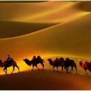 Turkey folk songs-Uska Dara(Desert Flower:사막의 꽃)연주mp³ 이미지