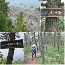 솔향기길1코스(당봉) 이미지