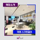 태영스크린 이미지