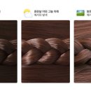 원이머리나라 - 금천구 독산로78길 21 | 원이머리나라