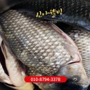 효자건강원 | 포항붕어즙, 잉어즙, 장어즙, 가물치즙 항아리 중탕 엑기스 건강원 포항시 문의