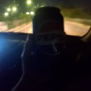 민들레한의원 | 진드기, 오디 나무 뽕나무 이 천연방제,일산, 밤에도 세차 가능한 가스차 충전소, 자유제일 충전소...