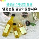 달꽃농원 | 달꽃농원-6차산업농장(달맞이꽃종자유)