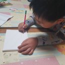 이작어촌체험휴양마을 이미지