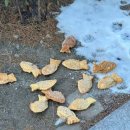 여헌로-11 이미지