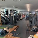 아나토미 스트랭스 이미지