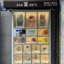 제피로스플라워