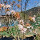 성자골3 이미지