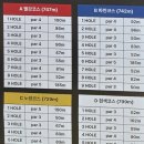 프로파크 | 판테온 PB-400 파크골프채 사용후기(2) ㅡ 대부도파크골프장에서 프로 입문하기