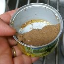 PJ GLOBAL | 하츠 딜렉터블+로투스 오리캔 싹 다 잘먹은 후기 (f.네코이야기)