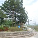 도곡육교