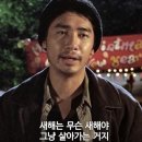 보성갈비 이미지