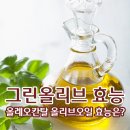 그린올리브효능 블랙올리브 올레오칸탈 올리브오일 효능은?