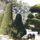 구자농장 이미지