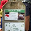 세계로데일레웨이 | [여행/호주] 내돈내산 블루마운틴 투어 솔직후기 (페더데일-링컨스락-씨닉월드)