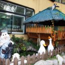 소라 유치원 이미지